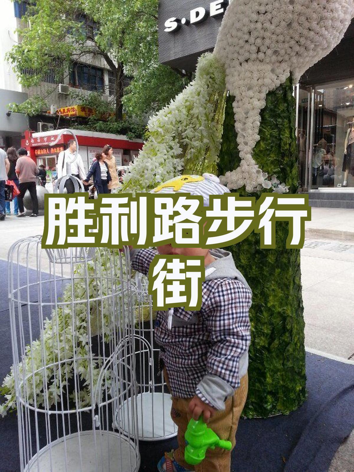 开云体育入口-包含马洛卡逆转胜利，取得必胜利的词条
