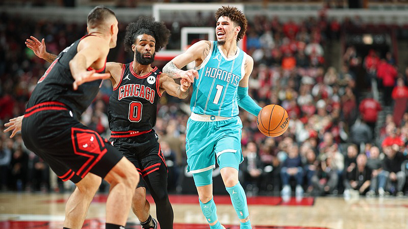 关于黄蜂爆冷擒公牛,拉梅洛发挥亮眼的信息 关于黄蜂爆冷擒公牛,拉梅洛发挥亮眼的信息