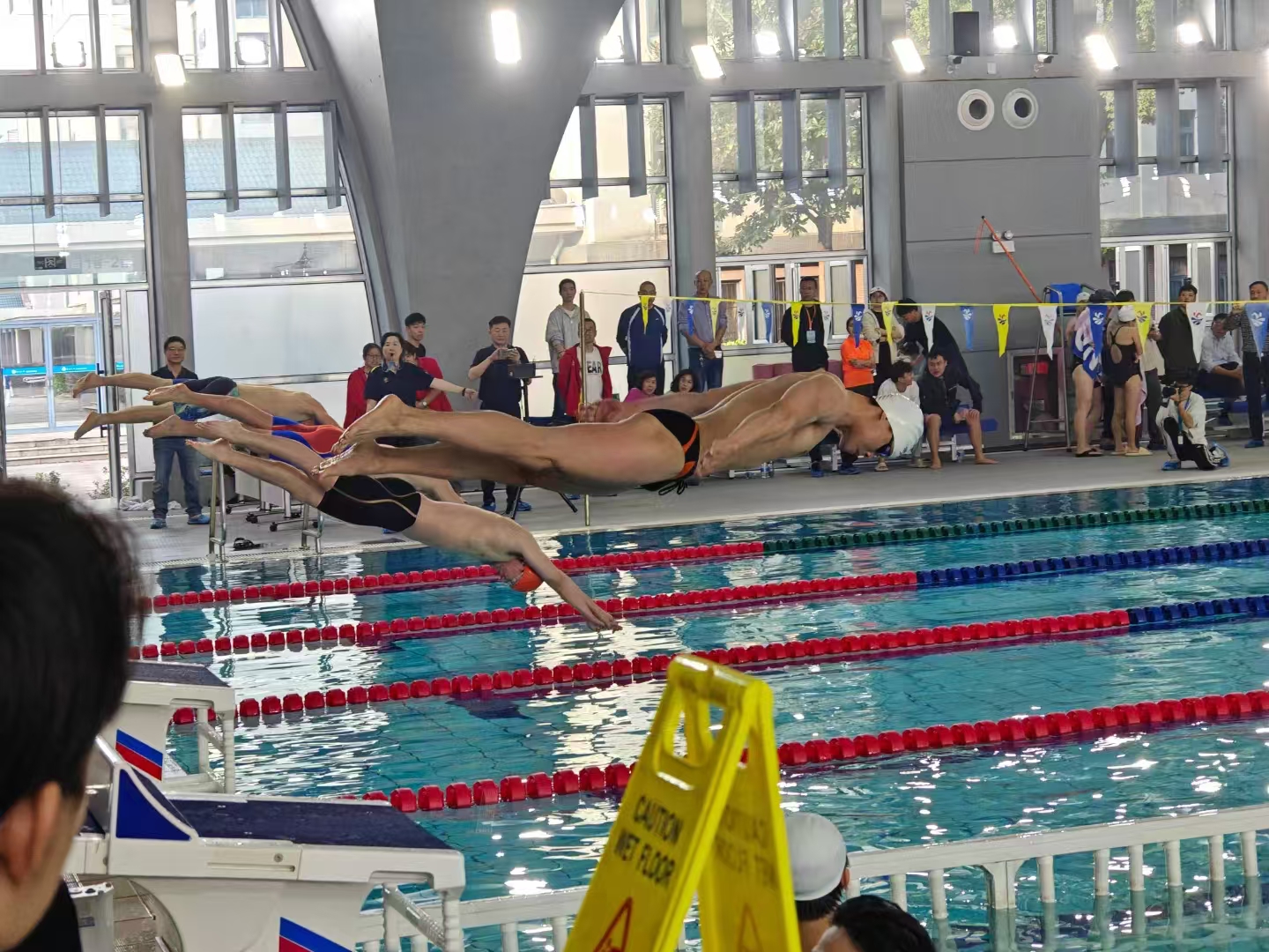 场面火爆！游泳观众席沸腾不已的简单介绍