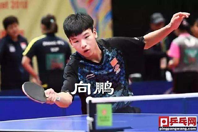 开云平台-葡萄牙队力克韩国队，林高远刷新纪录