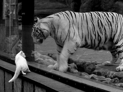 篮网vs新疆队，欧文末节14分上演丝路传奇，贡献制胜表现