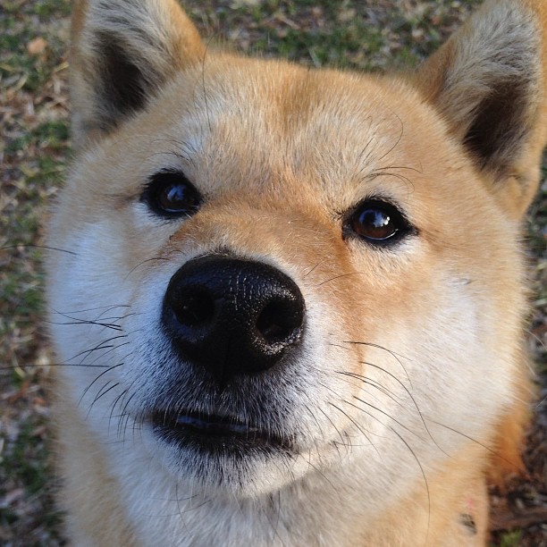 美加之夜星光破晓，罗德里戈一剑封喉铸就传奇