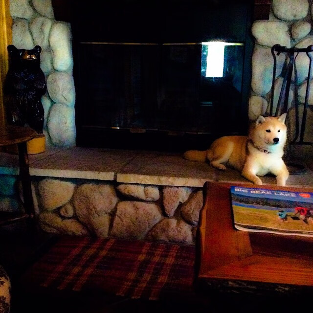 哥伦比亚争冠战击败罗马，迪马利亚当选关键先生