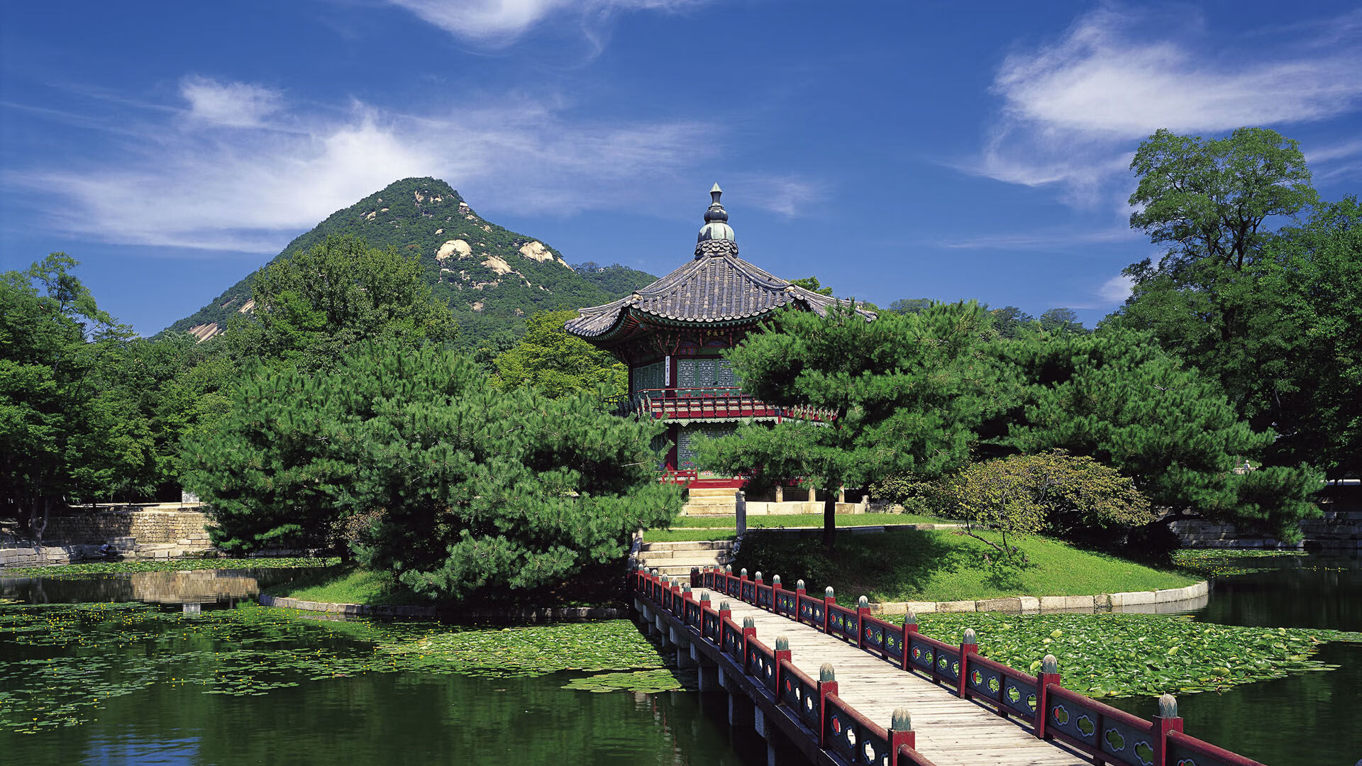 太阳风暴席卷雷霆，东契奇独舞季后赛舞台