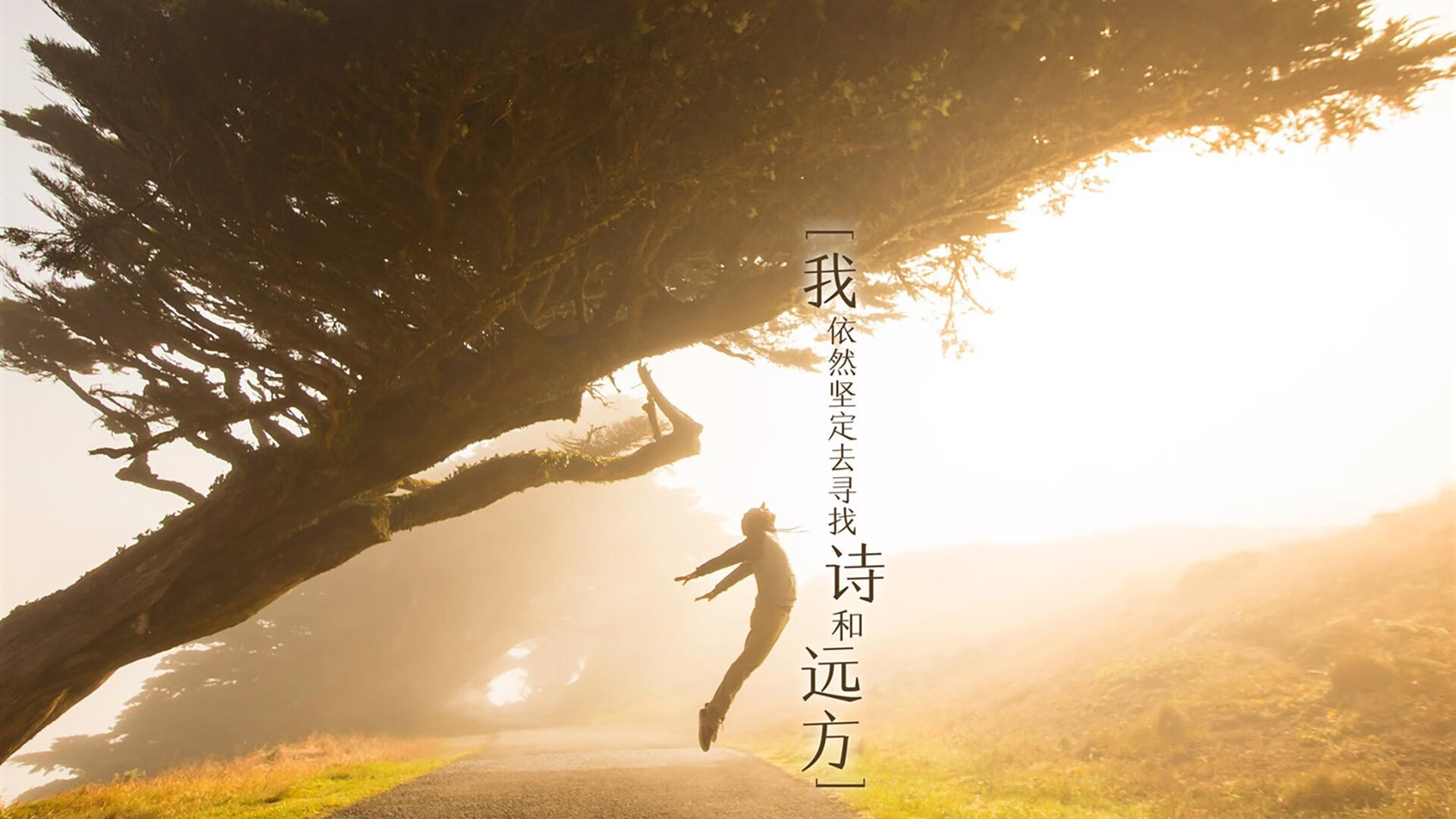 铁骑踏碎巨熊，新星稳如磐石—论切特的稳定输出与骑士的正面碾压