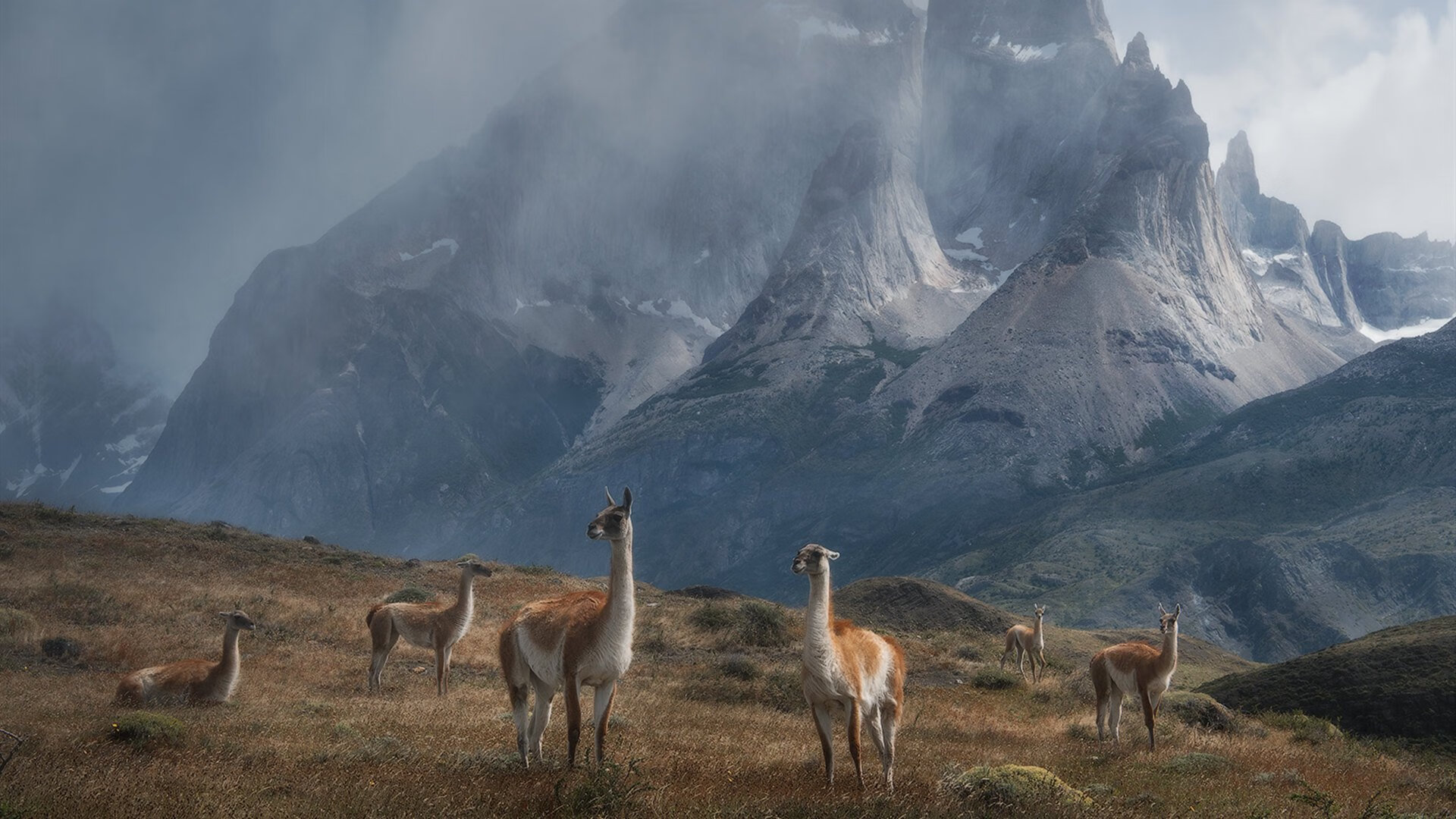 开云体育平台APP-东方智慧绝境突围，上海男篮欧冠级半决赛鏖战力克掘金