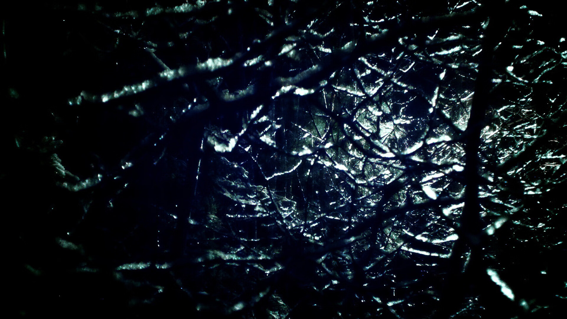 永恒之城见证复苏，意大利力克荷兰，佩莱格里尼破茧成蝶