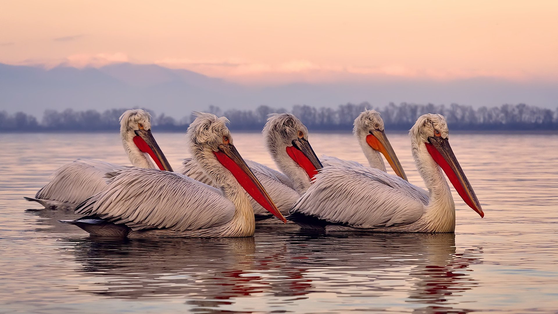 魔术队的铁壁与独行侠的魔杖,当团队艺术遇上巨星锋芒