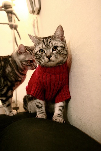 开云体育-冰与火的碰撞，当太阳灼伤华南虎，大场面先生正在重新定义篮球