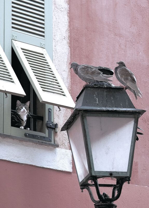 开云体育登录-冰与火之歌，从瑞典的集体铁律到本泽马的个人神迹