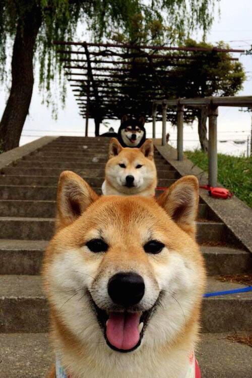 F1新赛季揭幕战之夜,布克节奏完全掌控