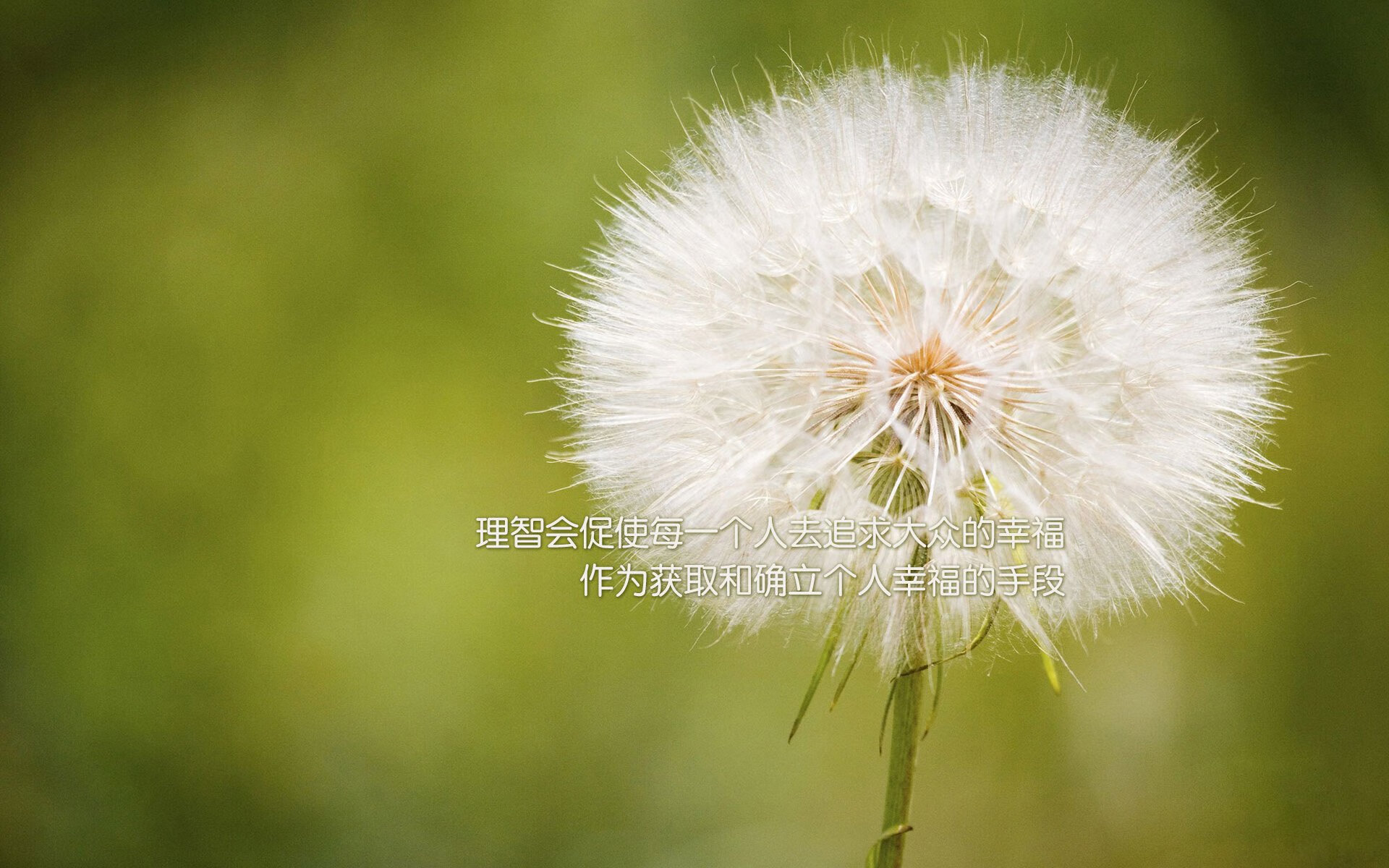钢铁战车折戟北欧，范戴克定海神针，德意志攻守转换梦碎2026