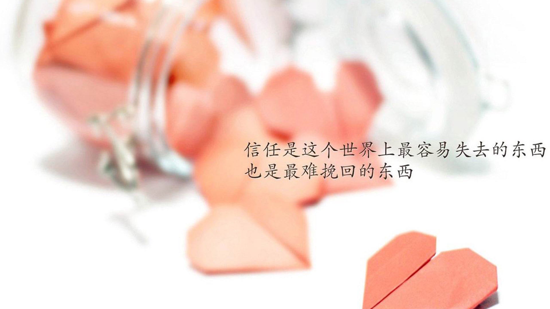 沙漠绿洲与樱花风暴,2026世界杯G组关键战,越南力克伊朗,久保建英带队取胜
